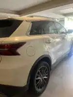 اس دبلیو ام مدل G01