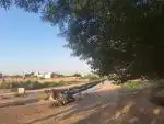 ۲۰۰۰۰ متر باغ ) دوهکتار)