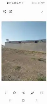 تهاتر 3000 متر زمین کشاورزی با خودرو