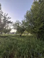 زمین باغشهری هماشهر