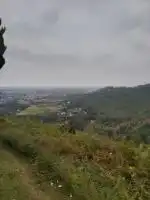 فروش زمین املش شب خوص پهلو 