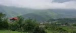 فروش زمین در شمال کشور (پول نیاز)