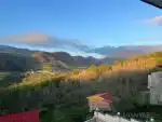 زمین ۱۰۰۰ متری با ویو جنگل در سوادکوه (فروش/معاوضه)