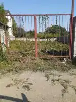 معاوضه ۳۶۰ متر زمین در رامسر (کتالم) با طلا و دلار