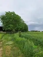 هفت هکتار زمین کشاورزی دور دیوار کنار بافت