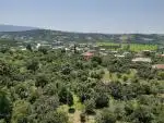 ۶۰۰ متر زمین با کاربری مسکونی در شمال کشور